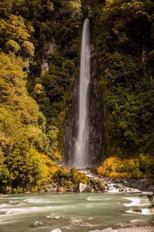 Maori-Blüten: Ein Leitfaden zu den kulturellen und natürlichen Wundern des neuseeländischen Sommers