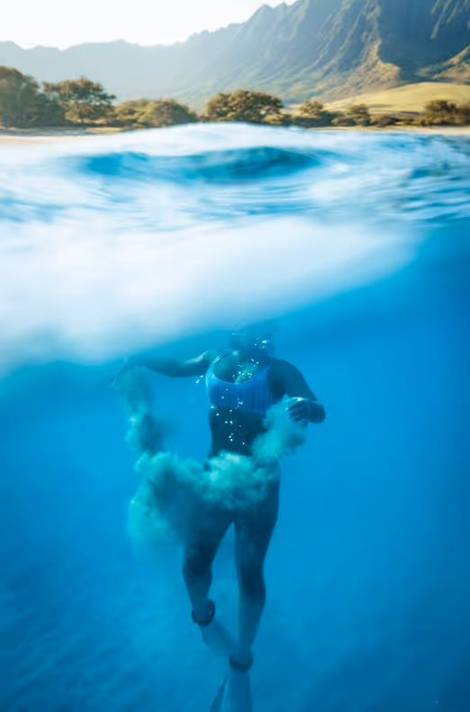 Walhaie und warmes Wasser: Australiens September-Tauchabenteuer