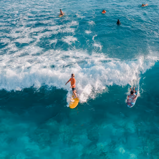 Die Wellen reiten: Vor- und Nachteile des Surfens in Australien