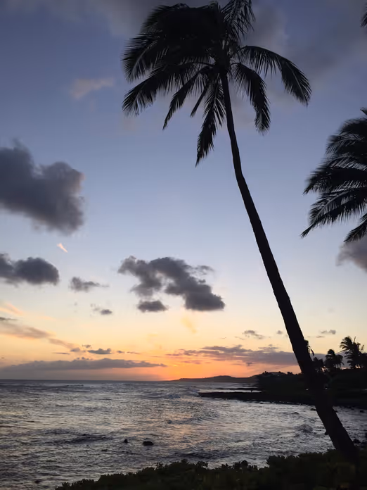 Vom Winterchill zum tropischen Paradies: Eine unvergessliche Reise nach Hawaii