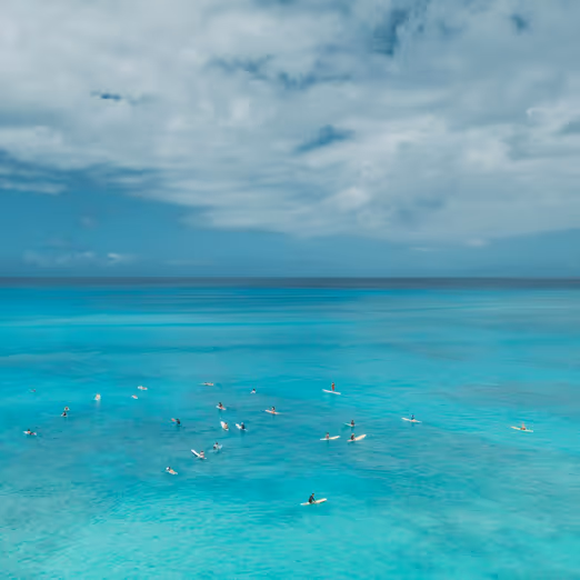 Vom Winterchill zum tropischen Paradies: Eine unvergessliche Reise nach Hawaii