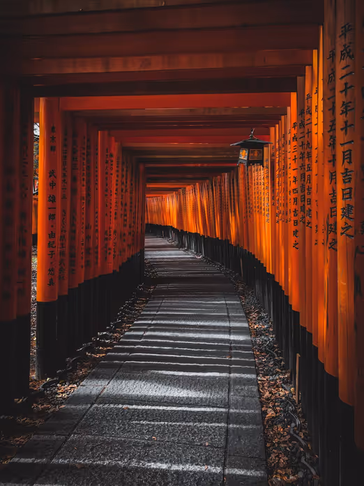 Japanische Wintermagie: Verschneite Stille und kulturelle Reize