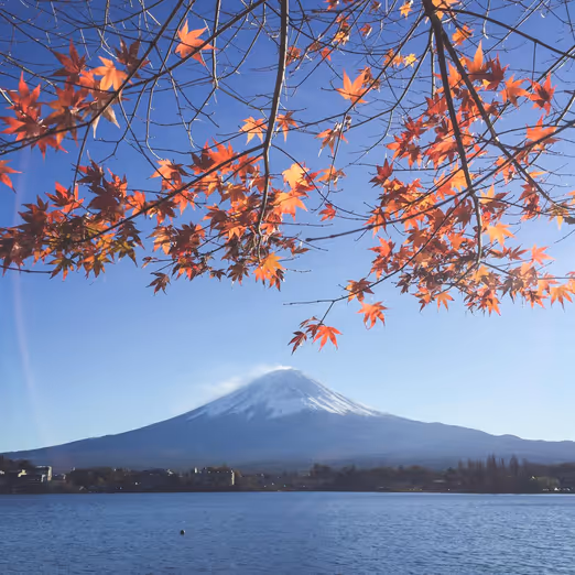 Farben des Herbstes: Die besten Orte zum Erleben des Herbstes in den USA