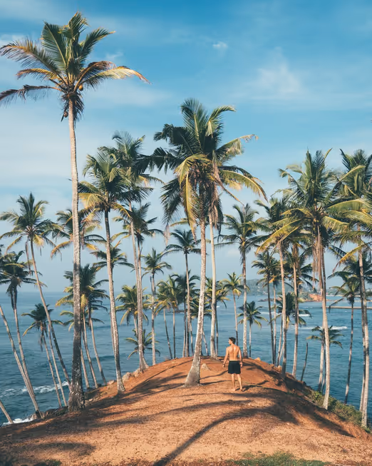 Korallenriffe und Strand-Rückzugsorte: Das Entdecken von Isla Mujeres im Frühling