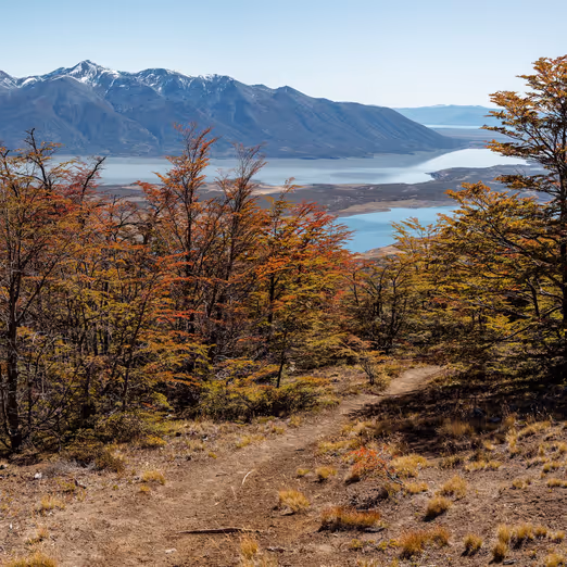Reise ins Ende der Welt: Patagoniens Herbstodyssee