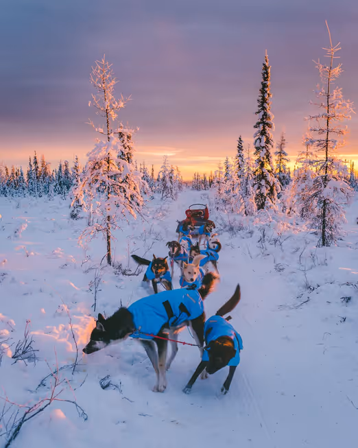Arktische Fluchten: Auf der Jagd nach Nordlichtern in Alaska und Kanada