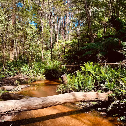 Winterabenteuer in Australien: Entdeckung warmer Oasen und unglaublicher Landschaften