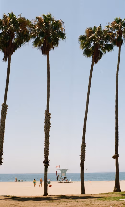 Beachside Bliss: Perfekte Sommerentspannung in Kalifornien.