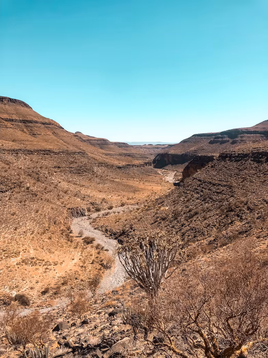 Herbstabenteuer in Afrika: Das Entdecken neuer Horizonte unter der goldenen Sonne