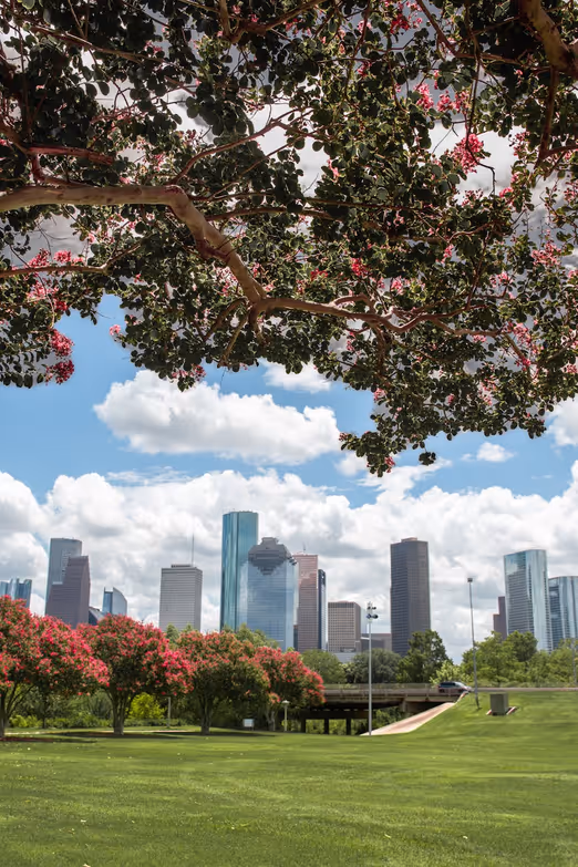 April-Abenteuer warten: Erkunden der verborgenen Schätze von Texas