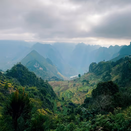 Guyana im Herbstglanz: Die perfekte Zeit für Naturliebhaber und Ökotourismus-Enthusiasten