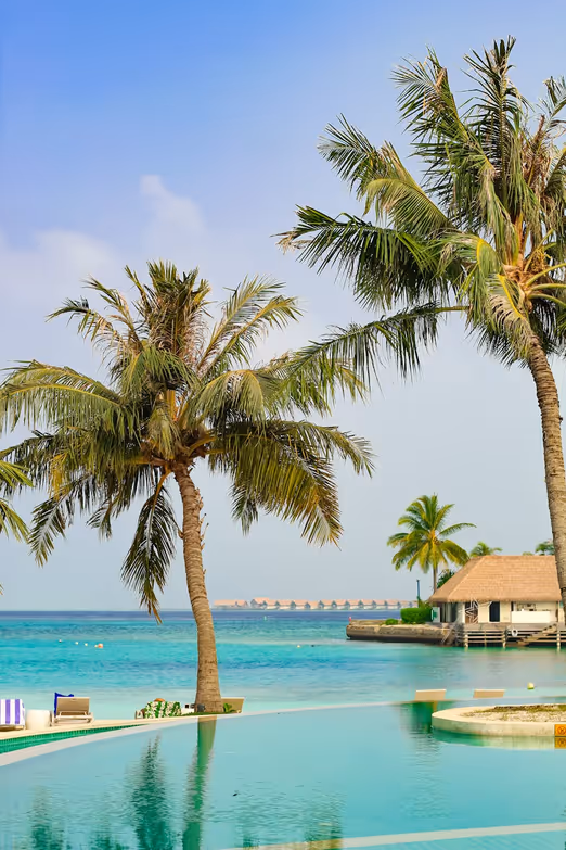 Sun and Sand in Winter: Exploring the Charms of the Maldives