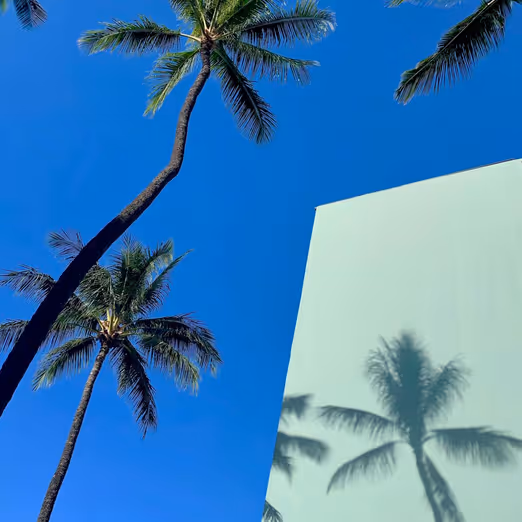 Hawaii: Erkundung der geheimnisvollen schwarzen Sandstrände