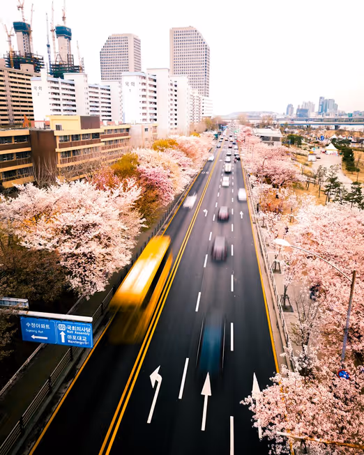 Sommerliche Pracht enthüllt: Seoul, Südkorea zu seiner malerischsten Jahreszeit erkunden