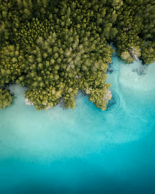 Erkundung des Frühlings auf Fukuok Island, Vietnam: Eine Reise durch die ruhige Oase der Natur