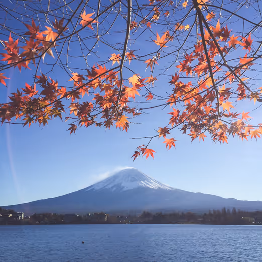 Beste Reiseziele im März: Kirschblüten in Japan und anderen Ländern