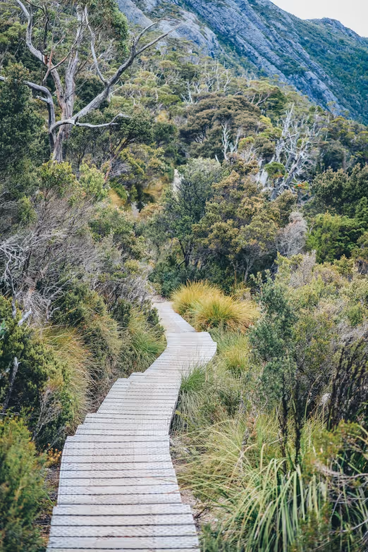 Hobarts Winter Wonderland: Eine Reise durch Tasmaniens kalte Hauptstadt