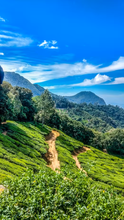 Indische Abenteuer im August: Top-Ziele und Tipps für Reisende