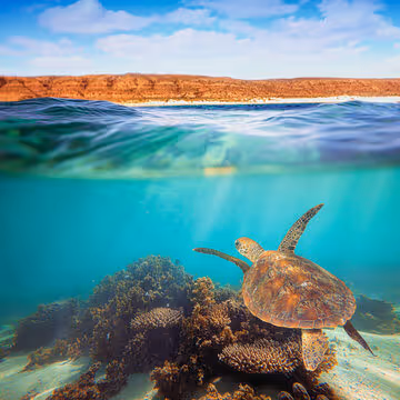 Mai in Australien: Einzigartige Ökosysteme von Broome und dem Ningaloo Reef