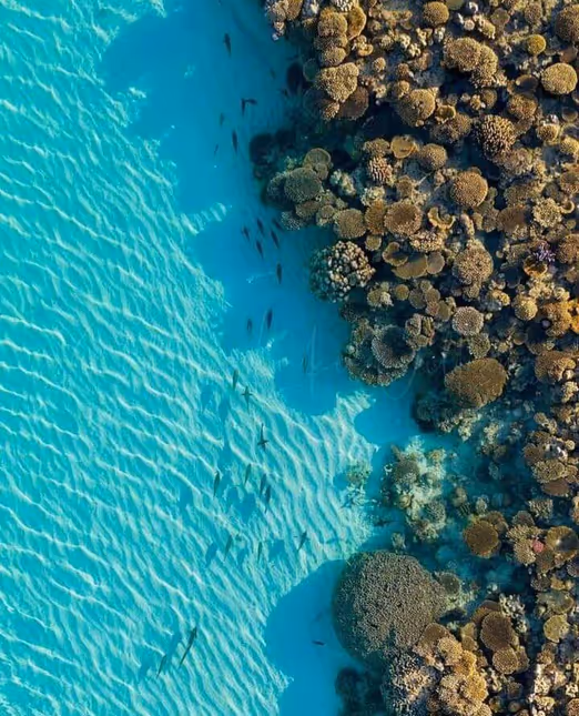 Mai in Australien: Einzigartige Ökosysteme von Broome und dem Ningaloo Reef