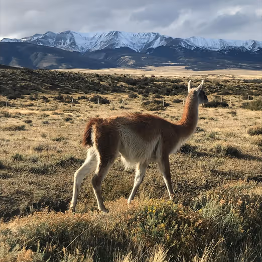 November in Santiago: Entdecken Sie das Herz der chilenischen Kultur.