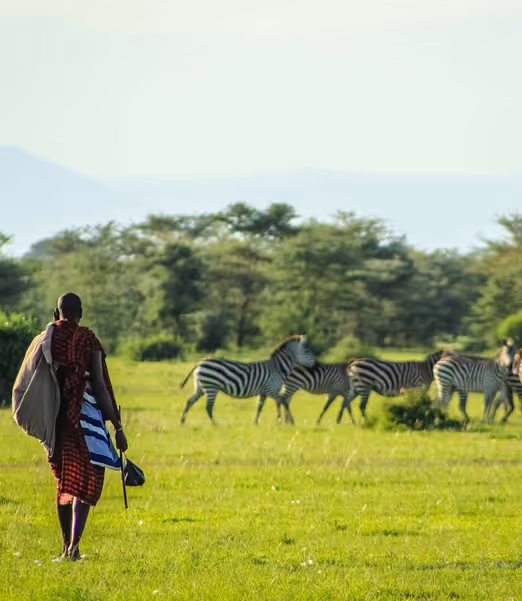 Safari-Träume: Sommerreisen durch Afrika