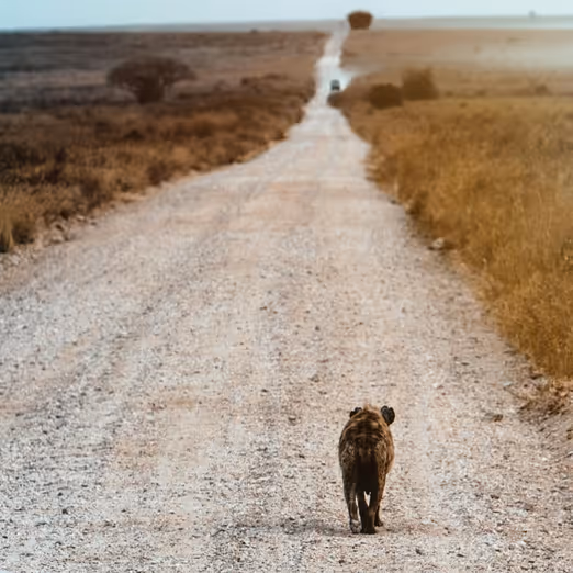 September in Senegal: Entdeckung von Westafrika in der Regenzeit