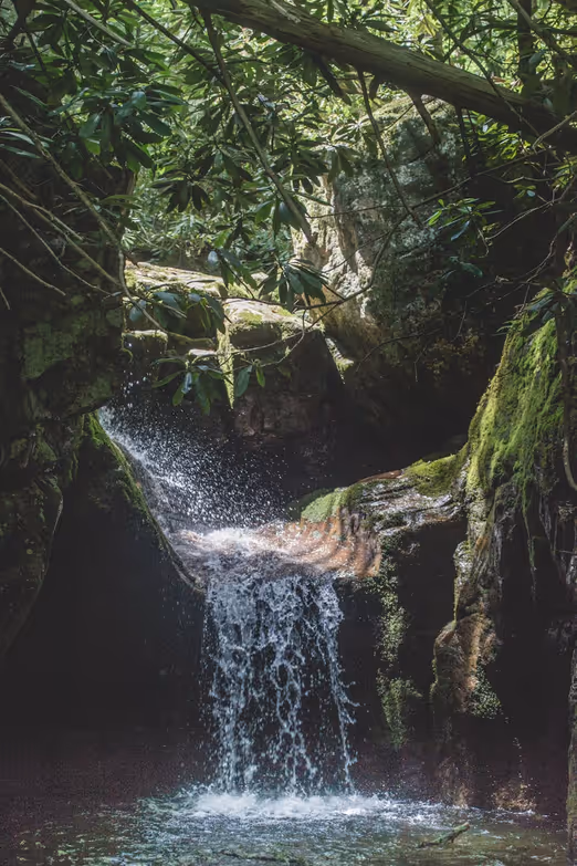 Sommerexpedition: Entdeckung der Wunder des Amazonas-Regenwaldes