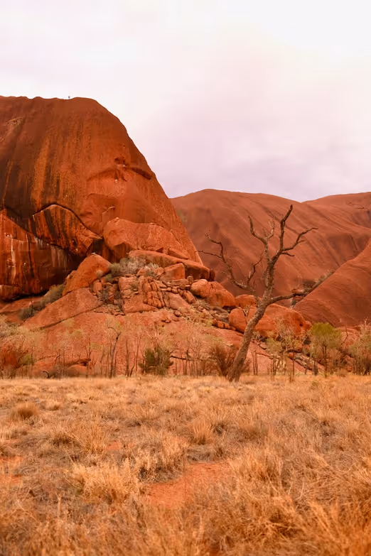 Erkunden Sie Uluru im April: Entdecken Sie das Rote Zentrum Australiens.