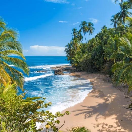 Unvergesslicher Frühling in Costa Rica: Strände, Natur und Abenteuer