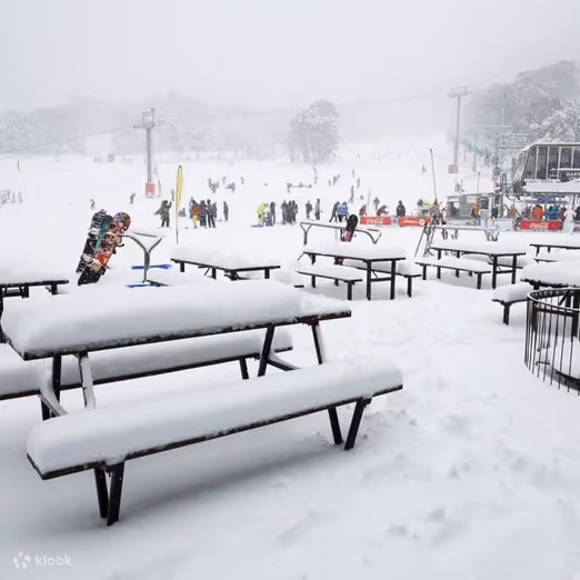 Winterabenteuer in Perisher und Thredbo: Australiens beste Skigebiete