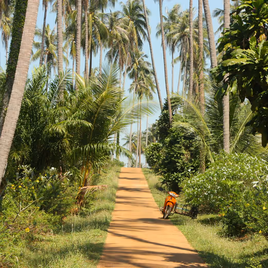 Winterparadies: Warum Thailand das beste Reiseziel im Dezember ist