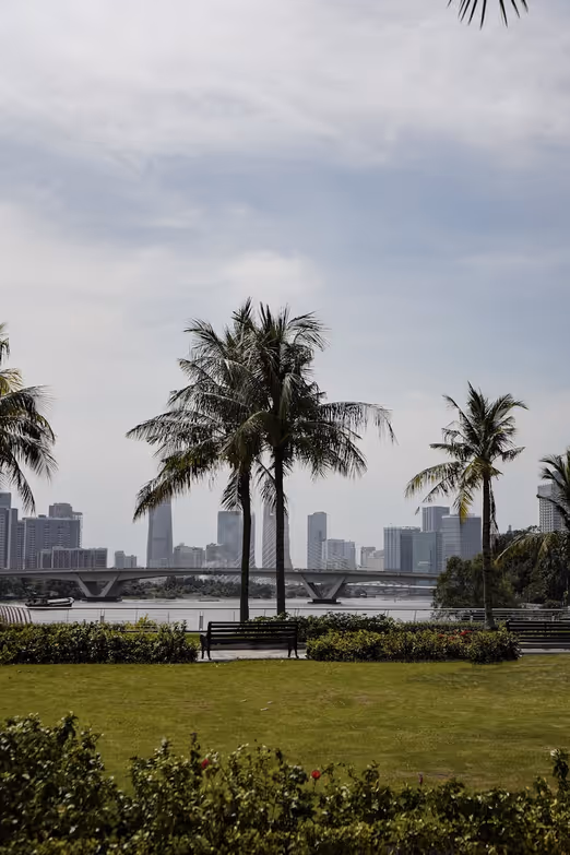 Winter Sonne in Miami: Wo der Winter auf die Tropen trifft