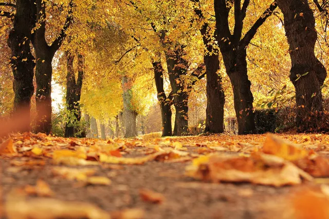 Die besten Reiseziele im November

