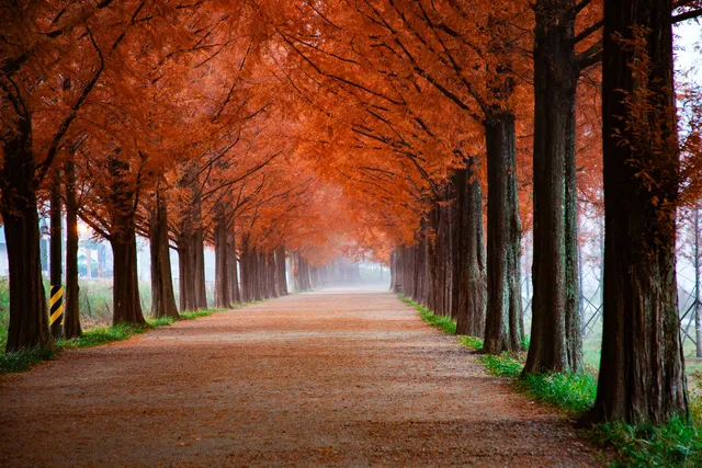 beste Reiseziele im November USA