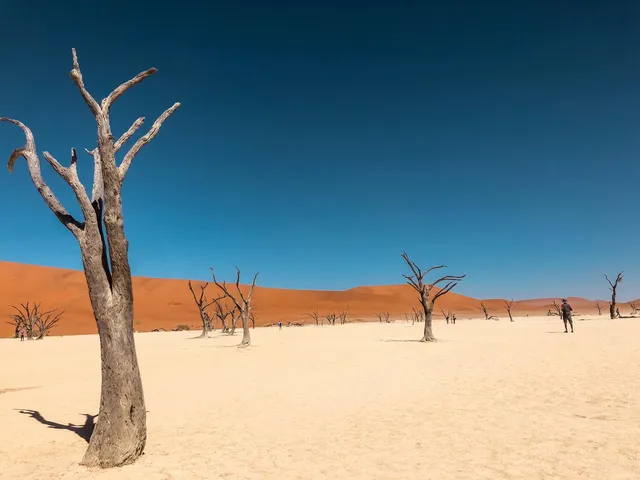 beste Reiseziele im Januar